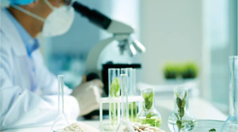 为什么说汽车启停电池的趋势是磷酸铁锂，磷酸铁锂电池有哪些特点？